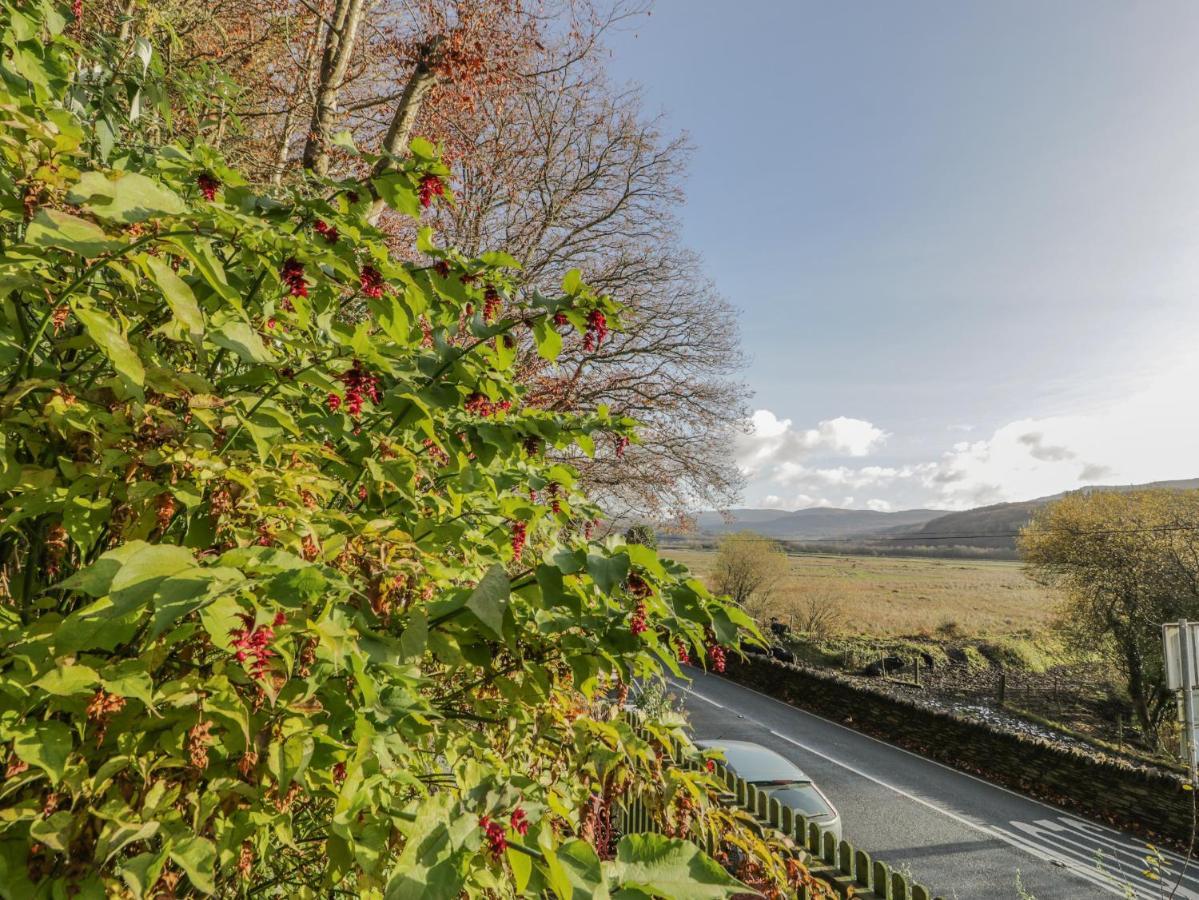 Bryn Melyn Artist'S Cottage Llanelltyd Buitenkant foto
